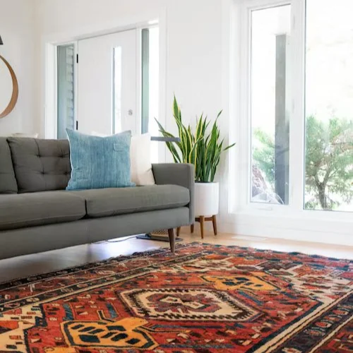 How to choose an area carpet advice from {{ name }} in {{ location }}